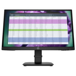 HP P22 G4 22-inch IPS FHD Monitor