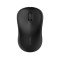 Rapoo M160 Multi-mode Wireless Mouse